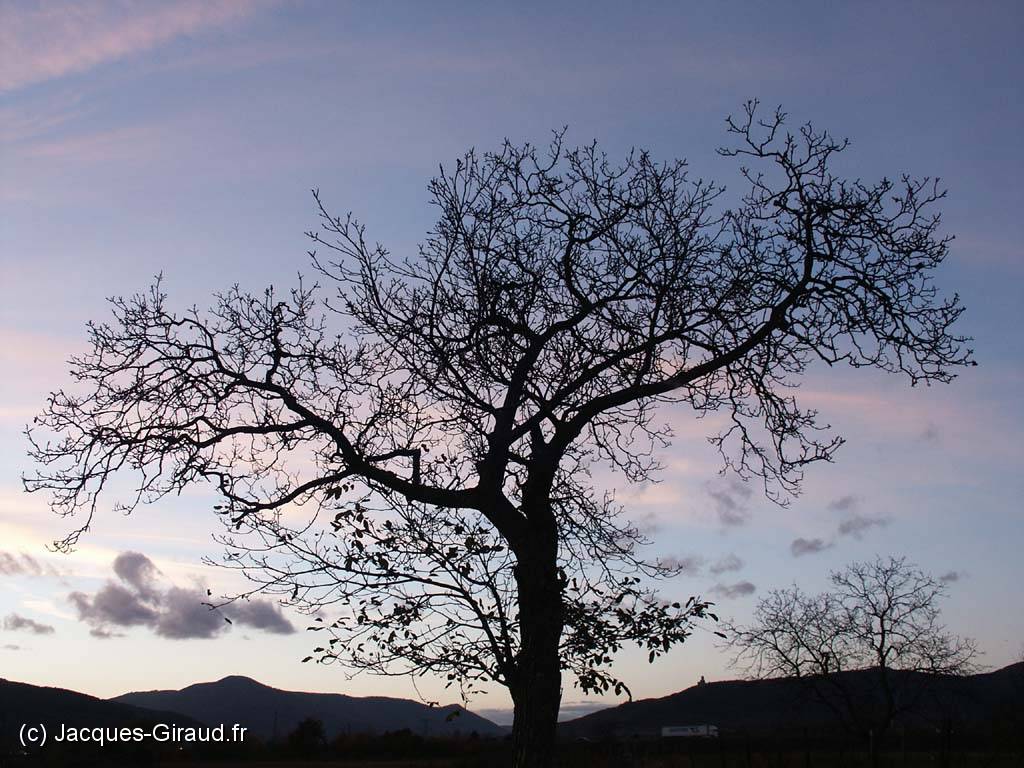 2005-11-05 17-09-17 novembre 41,6mm 1_64_eme f4,0(x1024).jpg